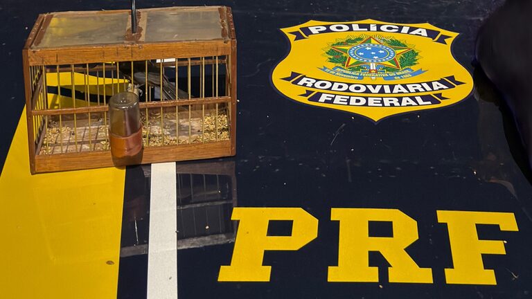 PRF flagra transporte ilegal de animais silvestres durante fiscalização em Caxias