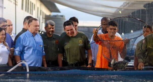Maranhão lança projeto de piscicultura em penitenciária para ressocialização e combate à fome