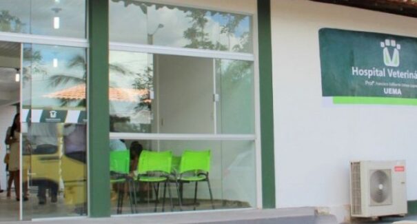 Hospital Veterinário da Uema oferta vacinação gratuita contra a raiva