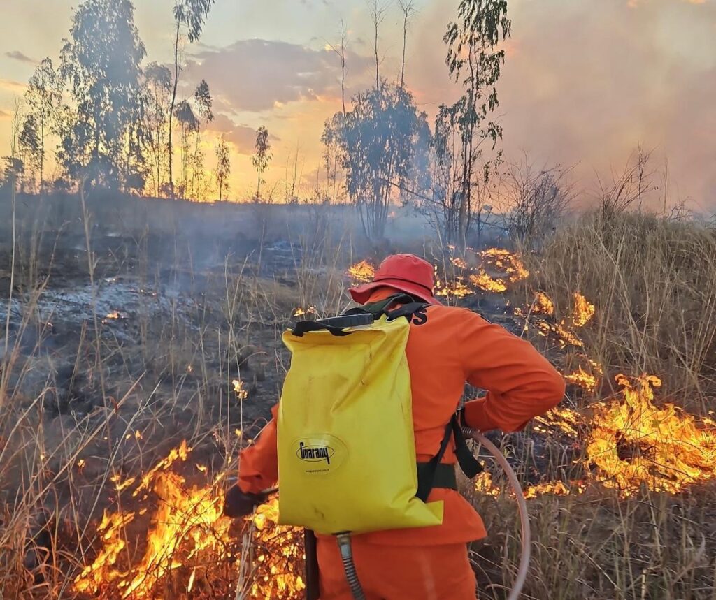 (Foto: Divulgação)