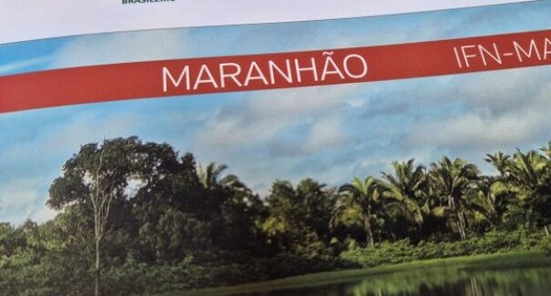 Mais da metade do Maranhão segue coberta por vegetação nativa, aponta Inventário Florestal