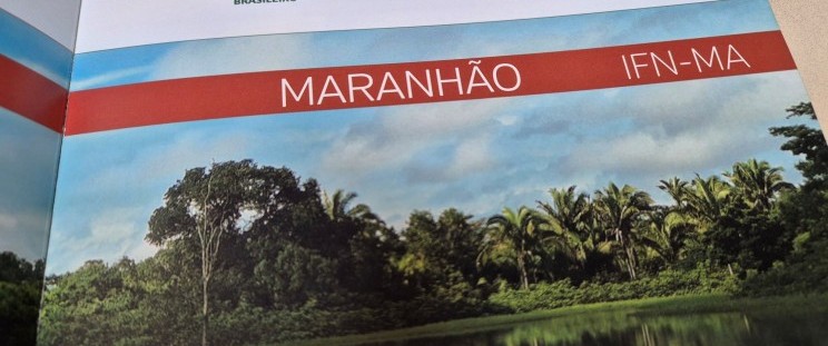 Foto: Reprodução/ Governo do Maranhão 