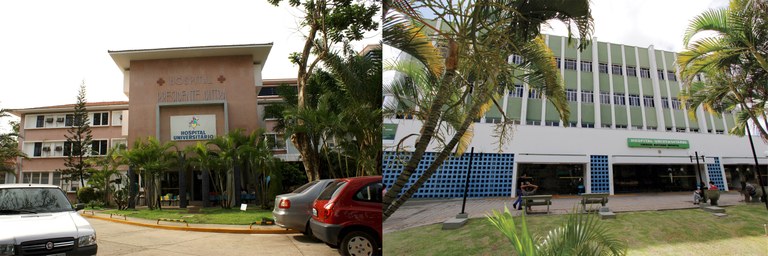 (Foto: Reprodução)
