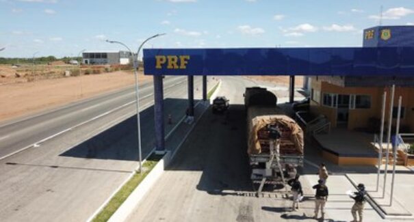 PRF registra maior apreensão de madeira ilegal em rodovias federais do país