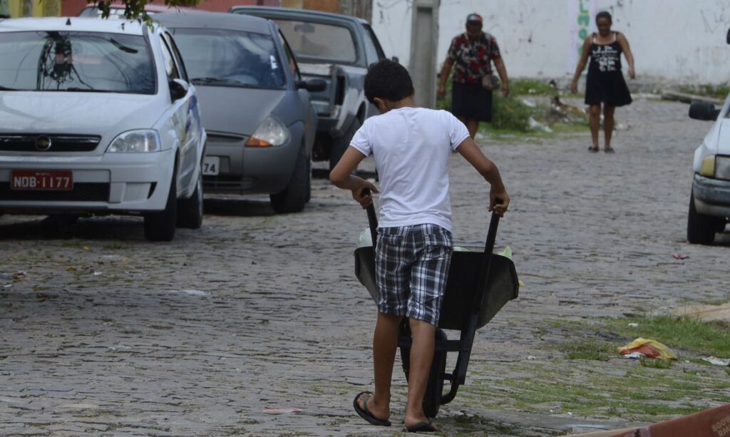 Trabalho infantil volta a crescer no Brasil em 2024 após queda histórica no ano anterior