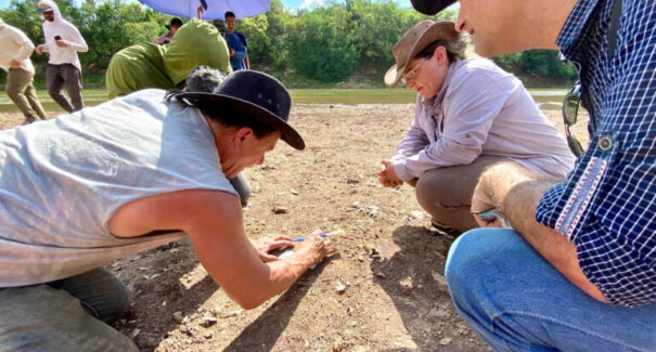 Descoberta de fóssil no Maranhão pode projetar estado no cenário científico mundial