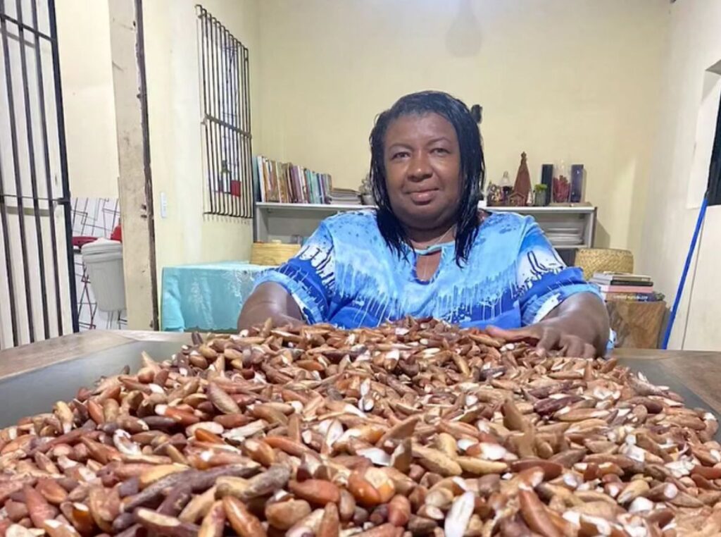 Nelinha Babaçu -(Foto: Divulgação)