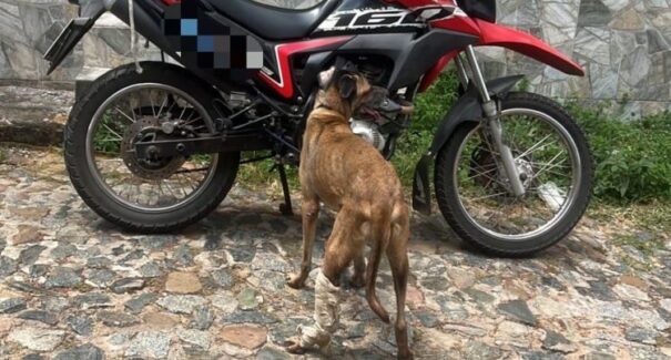 Homem é flagrado arrastando cão em motocicleta, no Centro de São Luís
