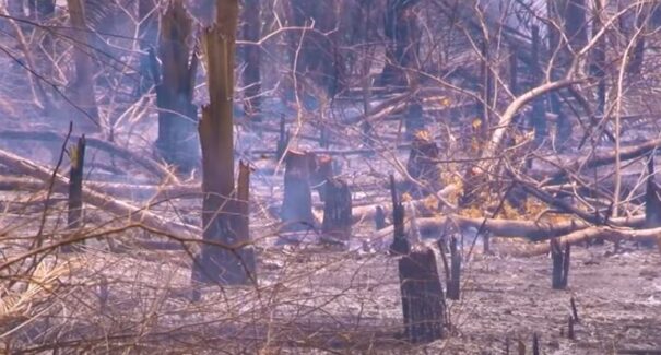 Combate a incêndios em Balsas pelo Corpo de Bombeiros recebe 12 novos militares