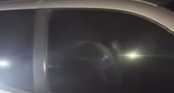 Vídeo: corpo em decomposição é encontrado dentro de carro abandonado em Guimarães