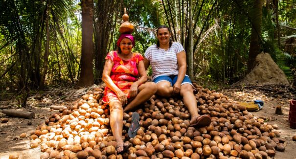 Mulheres quebradeiras de coco babaçu do Maranhão ganham destaque em exposição fotográfica em Londres