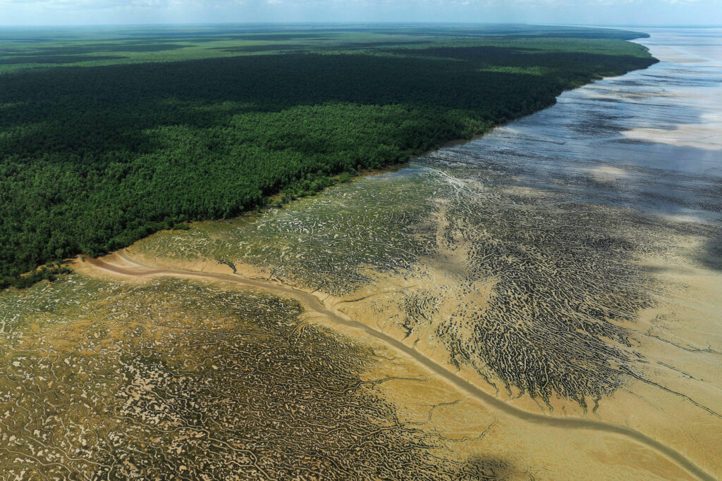 Entidades entram na Justiça para anular licença de perfuração de petróleo na Foz do Amazonas