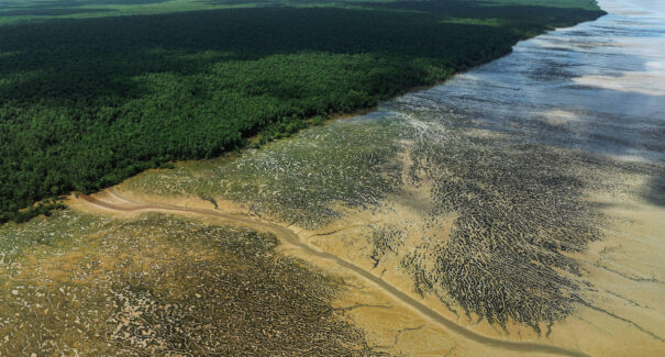 Entidades entram na Justiça para anular licença de perfuração de petróleo na Foz do Amazonas