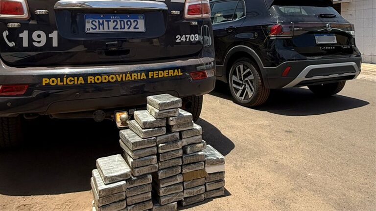 Droga apreendida (Foto: Divulgação)
