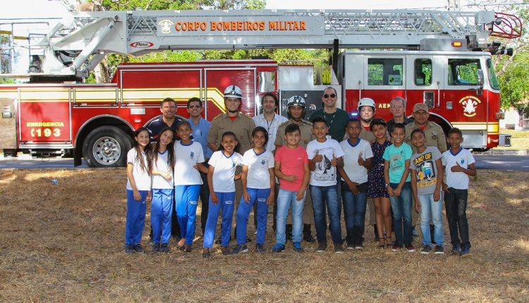 Ação do Corpo de Bombeiros (Foto: Reprodução)