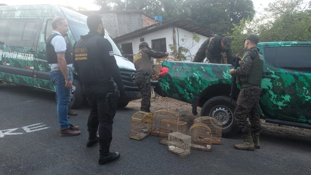 A operação teve cinco alvos em São Luís (Foto: Reprodução)
