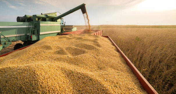 Exportações de soja do Maranhão somam R$ 8 bi e conquistam mercados globais