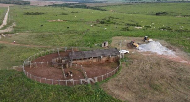 Programa REVERTE® está presente em 19 fazendas do Maranhão