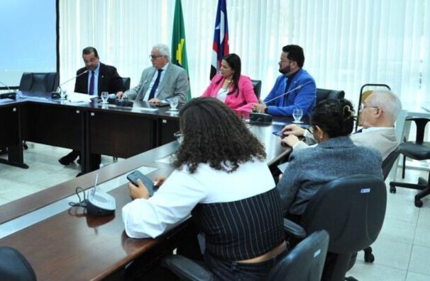 Reunião da Comissão de Educação da Assembleia Legislativa do Maranhão (Foto: Reprodução)