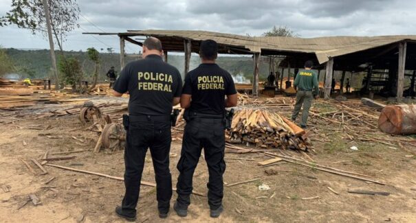 Operação Araribóia Livre X combate extração ilegal de madeira em terras indígenas