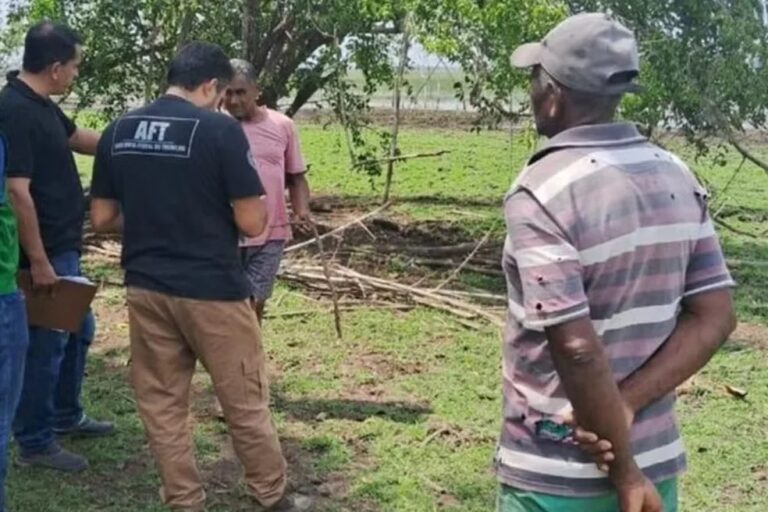 Os trabalhadores foram resgatados em uma operação nacional (Foto: Divulgação)