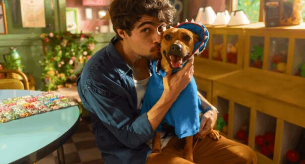 Confira quatro lançamentos na Netflix para a semana 6 a 12 de outubro 