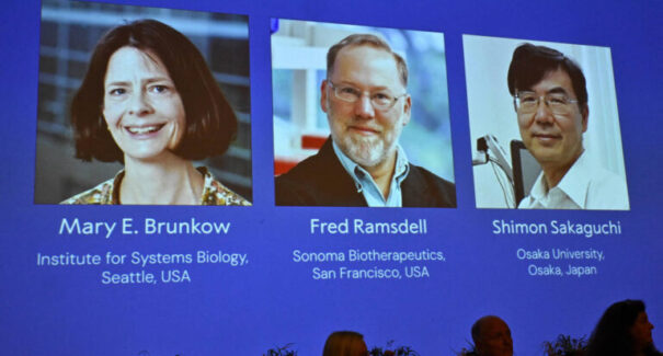 Trio de cientistas recebe Nobel de Medicina por avanços sobre defesa imunológica do corpo