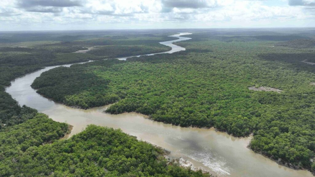 Brasil anuncia iniciativa global para proteção de 160 milhões de hectares na COP30