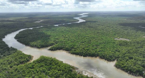 Brasil anuncia iniciativa global para proteção de 160 milhões de hectares na COP30