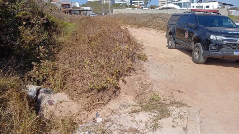 Corpo suspeito encontrado em dunas da Praia de São Marcos é identificado como animal morto