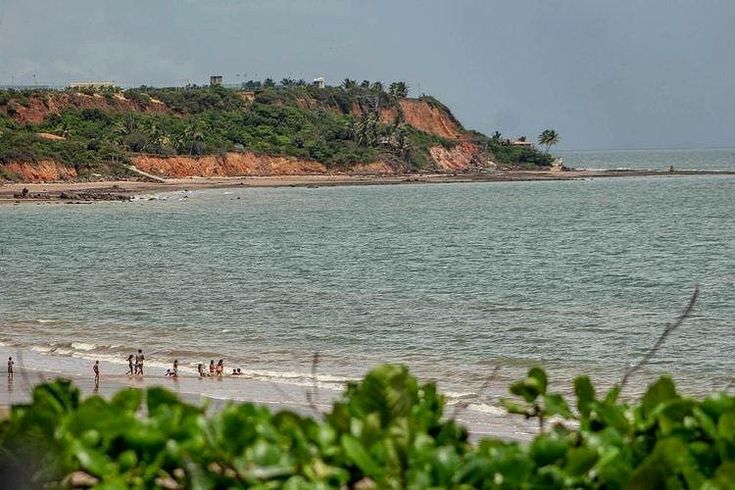 (Foto: Reprodução)