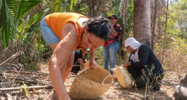 Mulheres quilombolas do Maranhão levam saberes do babaçu à COP30