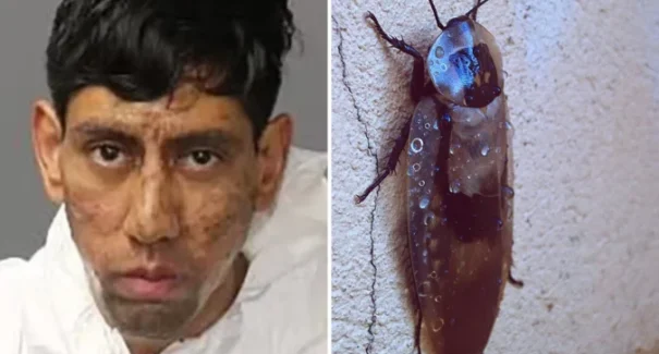 Nos EUA, homem diz que barata o convenceu a matar duas pessoas