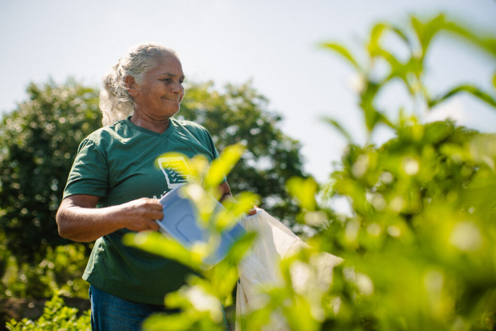 Iniciativa da gestão estadual une combate à fome, preservação ambiental e fortalecimento da agricultura familiar na Amazônia maranhense (Foto: Divulgação)
