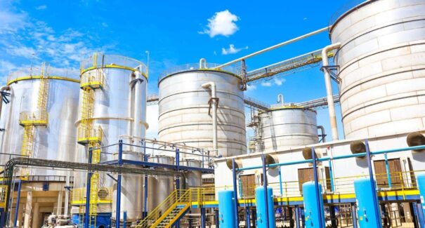 Maranhão é o 7º estado do país e 3º do Nordeste com maior taxa de crescimento