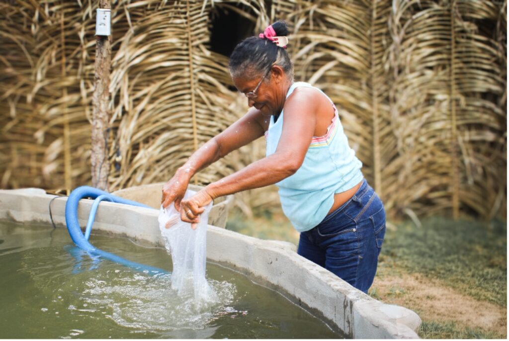 Agricultora familiar pescando no tanque de peixes que fica no seu quintal (Foto: Divulgação)
