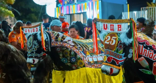 Boi União da Baixada completa 26 anos com programação cultural neste sábado (15)