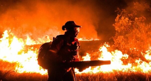 Operação Maranhão Sem Queimadas intensifica ações e combate mais de 5 mil focos de incêndio no estado