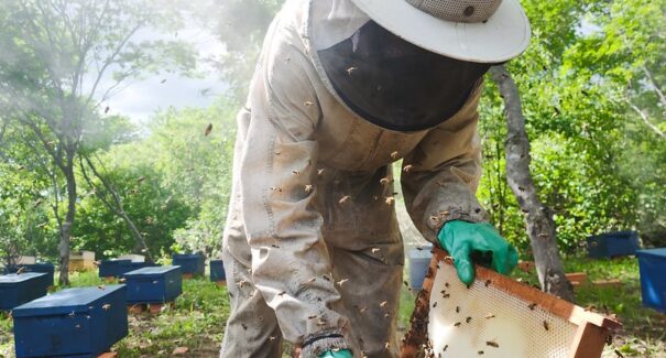 BNB amplia concessão de crédito no Maranhão e movimenta mais de R$ 6,5 bilhões em 2025