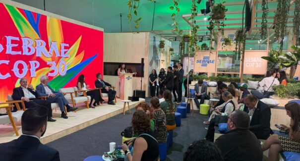 Negócios sustentáveis do Maranhão ganham destaque na COP30