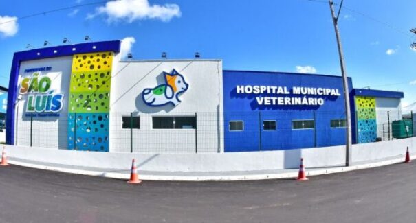 Hospital veterinário de São Luís enfrenta crise: atraso salarial e denúncias de superlotação