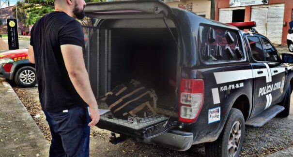 Homem conhecido por furtos é preso em flagrante em Arari