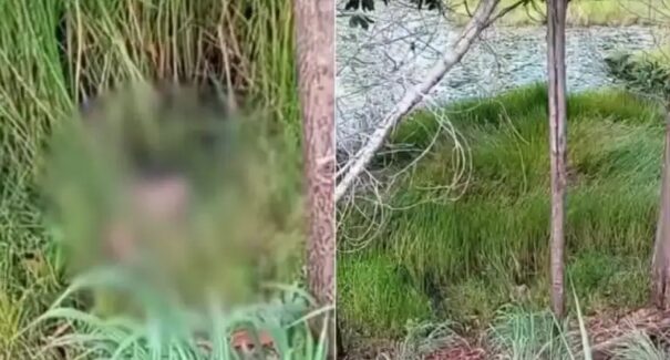 Cabeça humana é encontrada na zona rural de Cidelândia