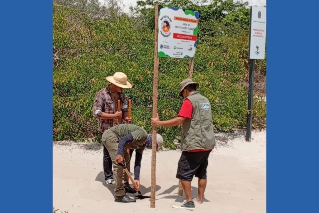 (Foto: Divulgação)