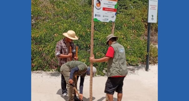 Reflorestamento barra acesso ilegal nos Lençóis Maranhenses