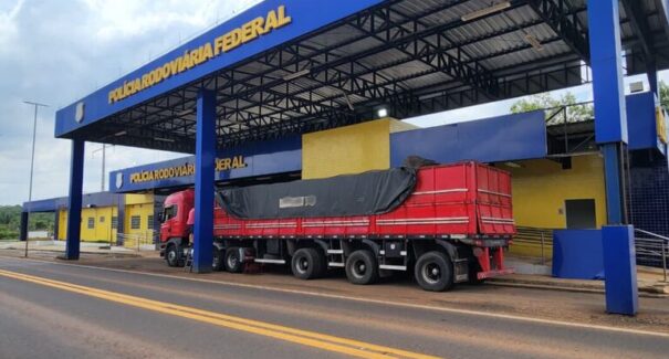 PRF intensifica combate à crimes ambientais nas rodovias do Maranhão