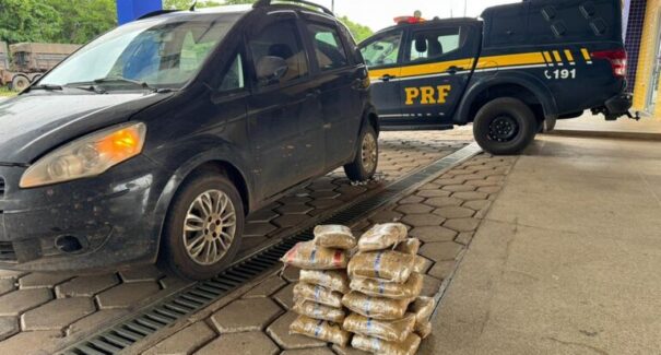 PRF apreende mais de 23 kg de “skunk” na BR-226, em Jenipapo dos Vieiras