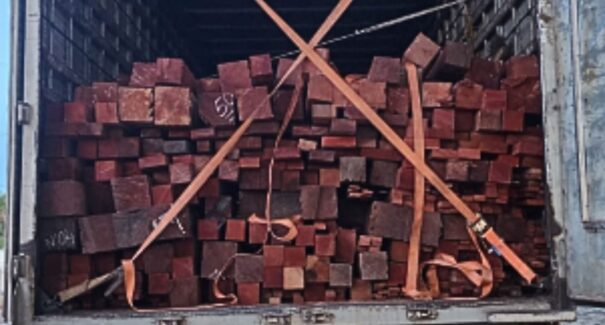 Balsas: carga de madeira nativa transportada irregularmente é apreendida pela PRF