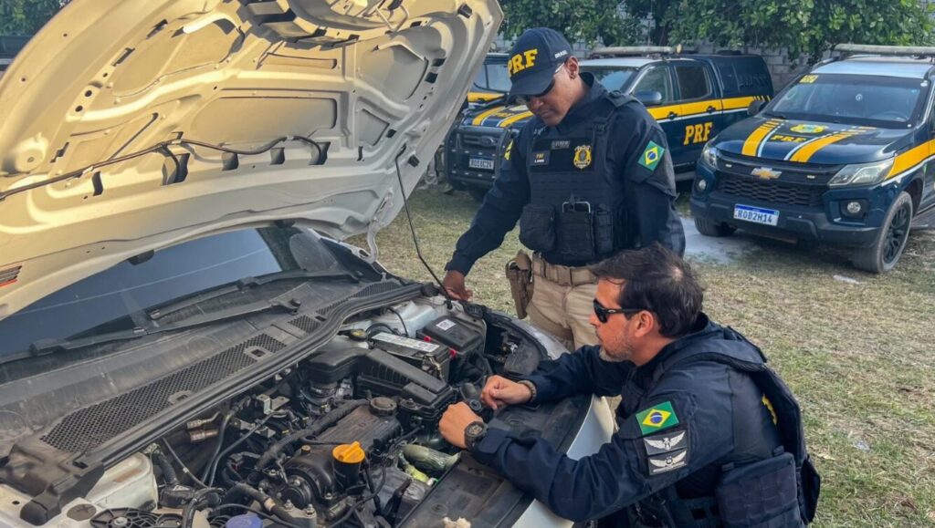  Ao longo do ano, 1.073 veículos com registros de roubo, furto, apropriação indébita ou com sinais de adulteração foram localizados em diferentes regiões do estado. (Foto: Divulgação)