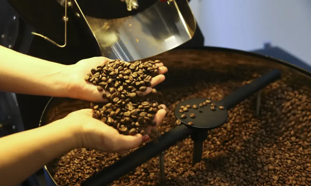 Exportação de café do Brasil cai em 2025, mas bate recorde em receita